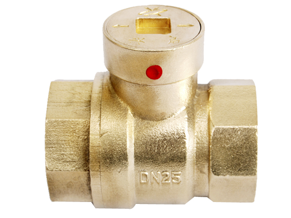DN25